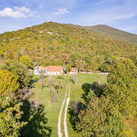 Sokol - Secret Forest House Gračac Екстериор снимка